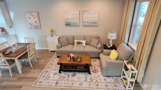 living room featuring hardwood / wood-style flooring