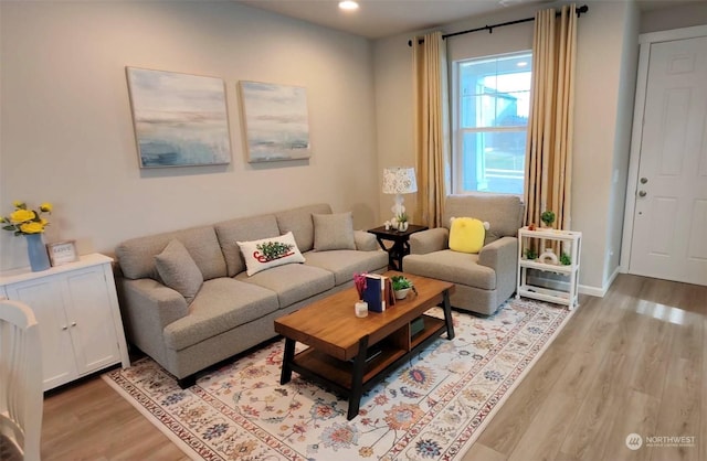 living room featuring light hardwood / wood-style floors