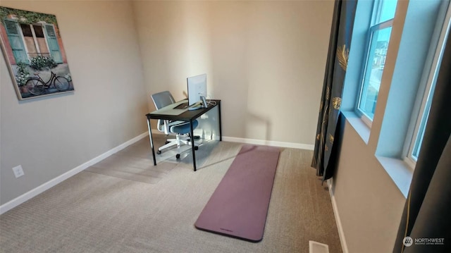 office featuring light colored carpet