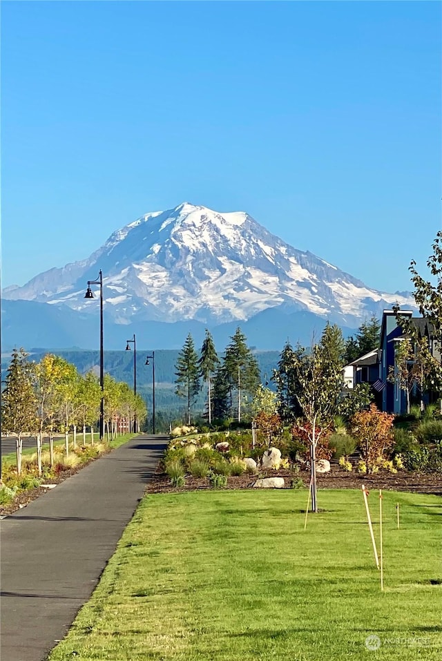 view of mountain feature