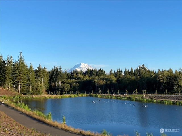 property view of water with a mountain view