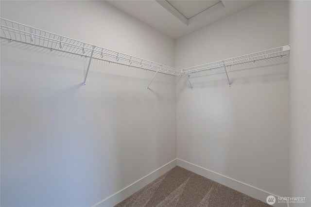 walk in closet with dark carpet