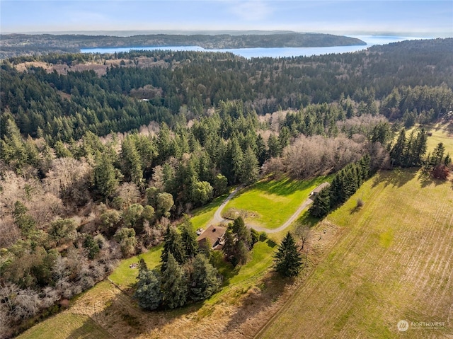 birds eye view of property with a water view and a view of trees