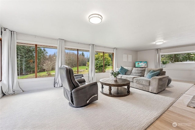 living area with wood finished floors