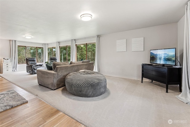 living area featuring light wood finished floors