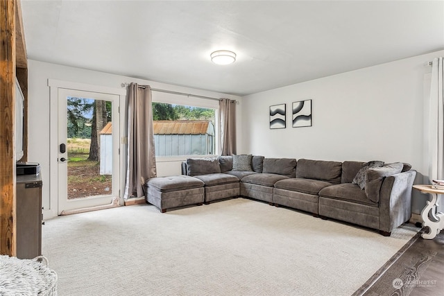 view of carpeted living area