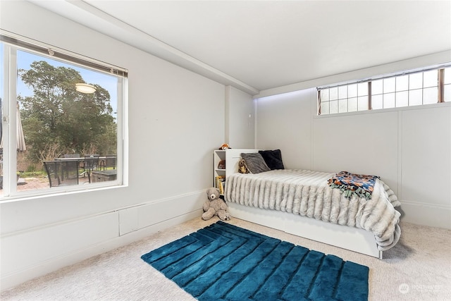 bedroom with carpet floors