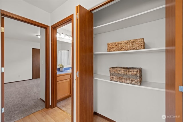 hallway featuring light hardwood / wood-style flooring