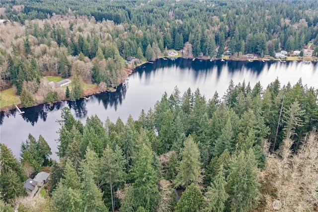 birds eye view of property featuring a view of trees and a water view