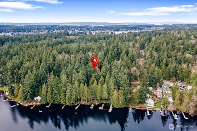 birds eye view of property featuring a view of trees and a water view