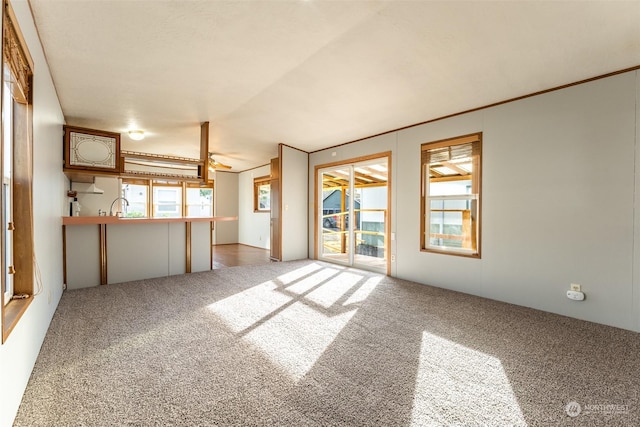 unfurnished living room featuring carpet flooring