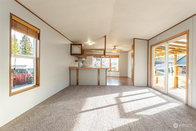 unfurnished living room with sink, ceiling fan, carpet flooring, and crown molding