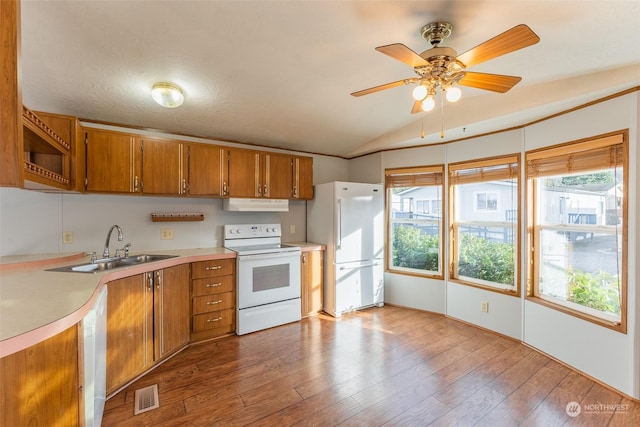 kitchen with light hardwood / wood-style floors, sink, white appliances, and a wealth of natural light