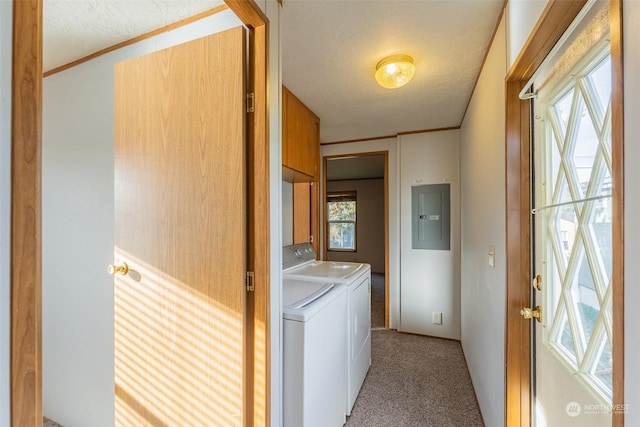 laundry room featuring light colored carpet, a textured ceiling, electric panel, and independent washer and dryer