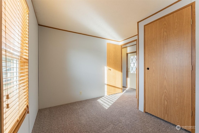 carpeted spare room featuring ornamental molding