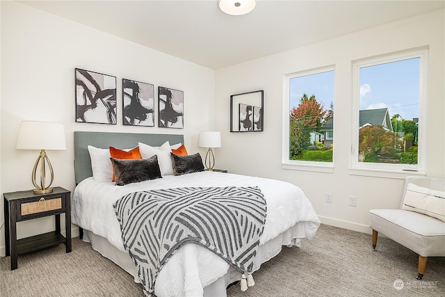 bedroom with carpet floors