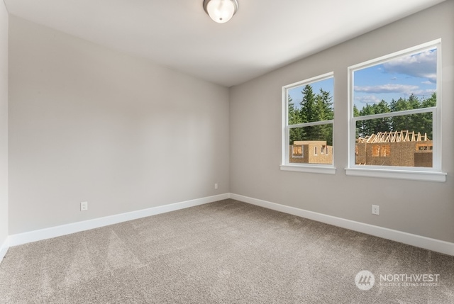 unfurnished room featuring carpet flooring