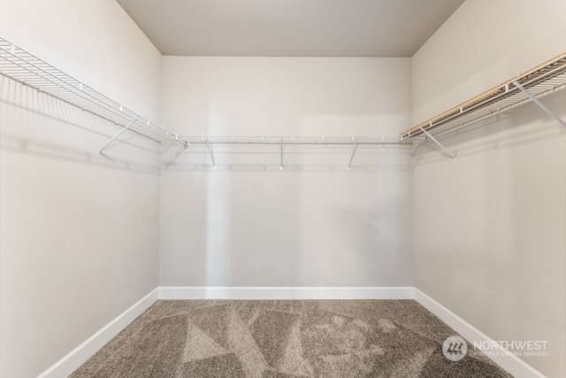 spacious closet featuring carpet floors