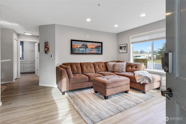 living room with light hardwood / wood-style floors