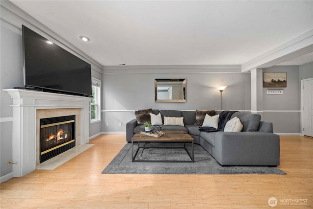 living area featuring baseboards, wood finished floors, and a fireplace