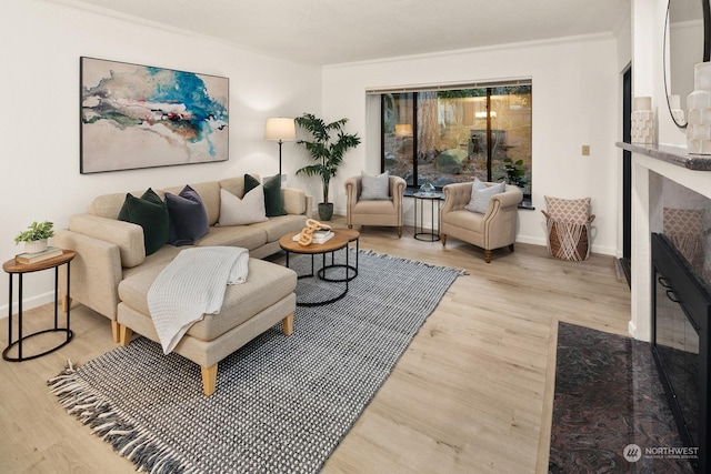 living room featuring light hardwood / wood-style floors, ornamental molding, and a fireplace