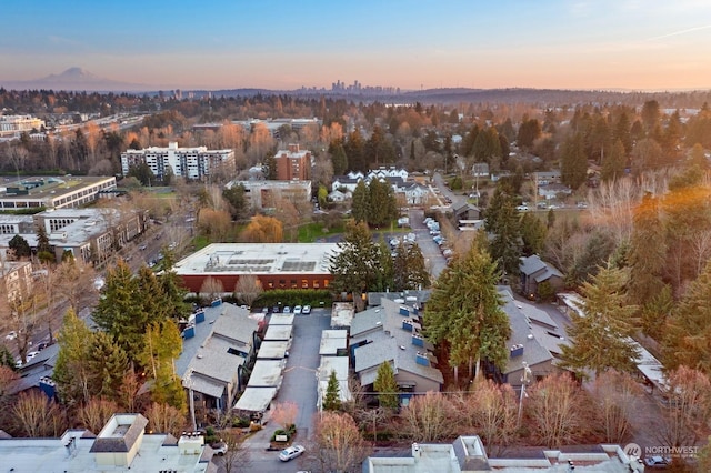 view of aerial view at dusk