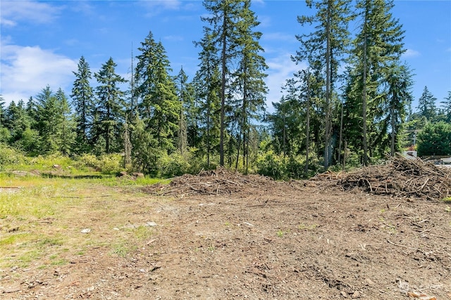 view of local wilderness