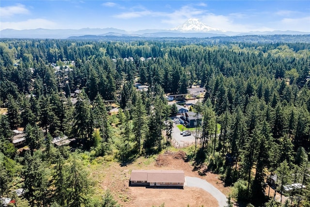 birds eye view of property featuring a mountain view