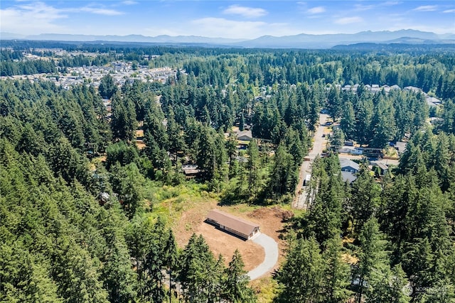 drone / aerial view featuring a mountain view