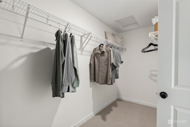 walk in closet with light colored carpet