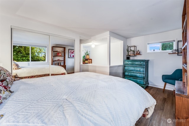 bedroom featuring a closet, dark wood-type flooring, and multiple windows