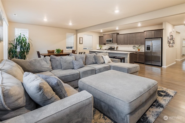 living room with light wood-type flooring