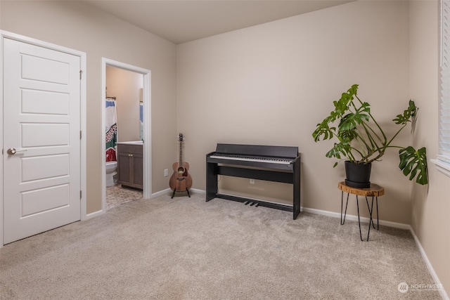 miscellaneous room featuring light colored carpet