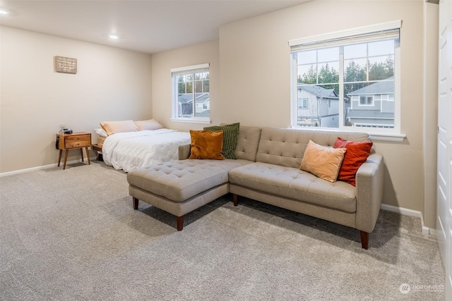 bedroom with carpet