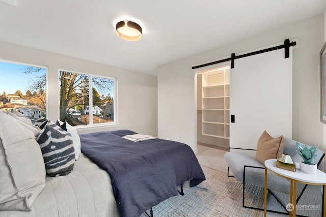 carpeted bedroom featuring a closet, a spacious closet, and a barn door