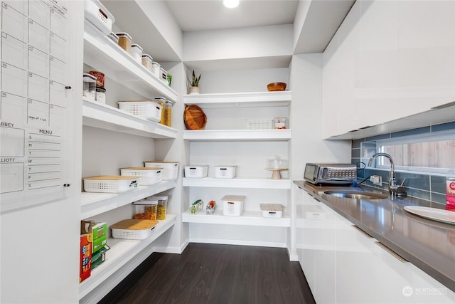 pantry with sink