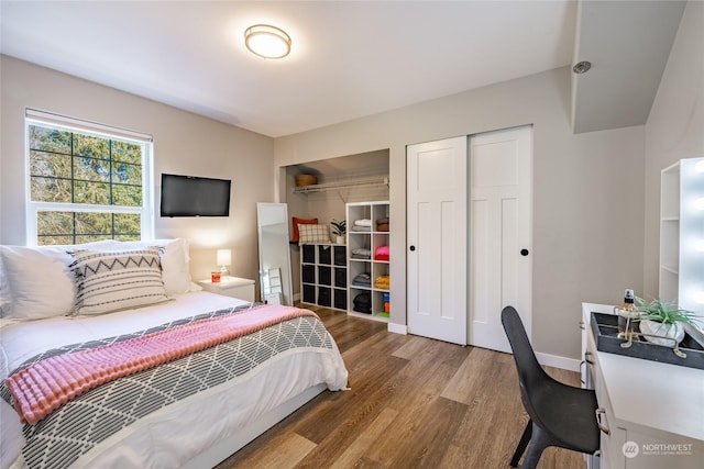 bedroom with hardwood / wood-style flooring and multiple closets