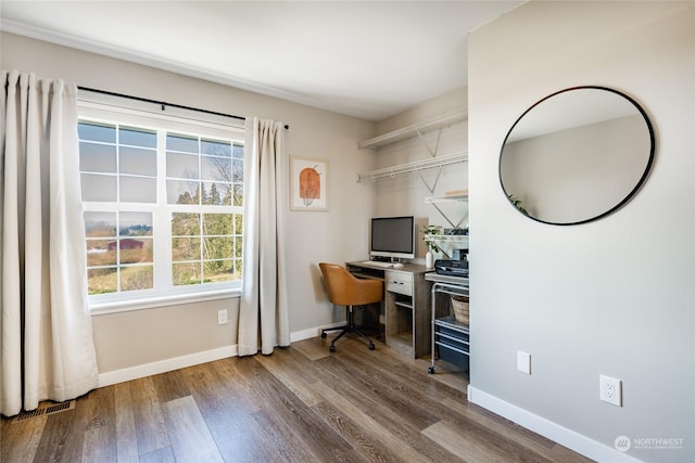 office featuring wood-type flooring