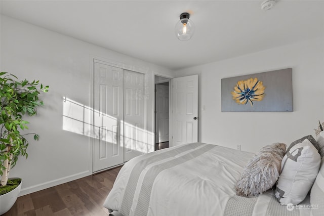 bedroom with a closet and dark hardwood / wood-style floors