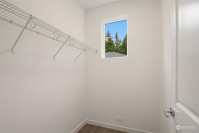 spacious closet featuring dark wood finished floors