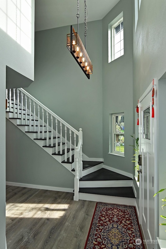 foyer with plenty of natural light, dark hardwood / wood-style flooring, and a high ceiling