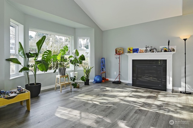 sitting room with lofted ceiling and hardwood / wood-style floors