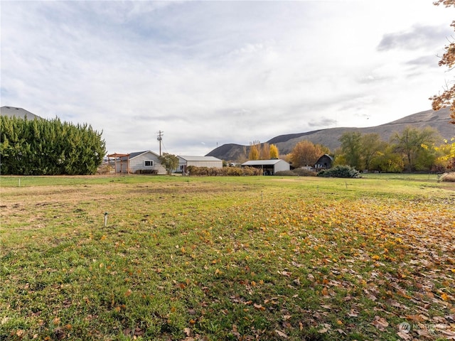 view of yard with a mountain view and a rural view