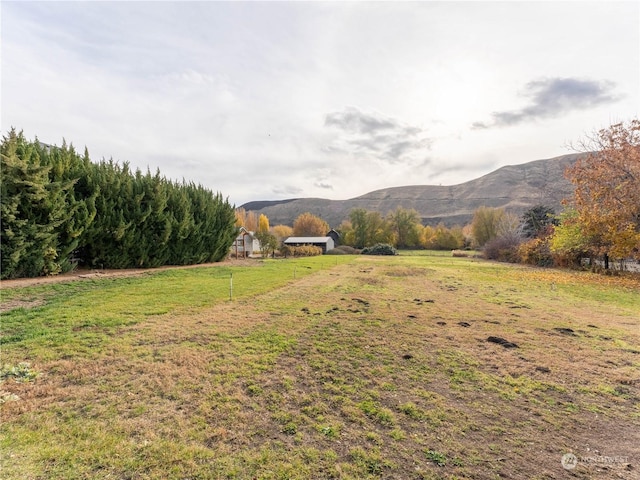 view of yard featuring a mountain view and a rural view