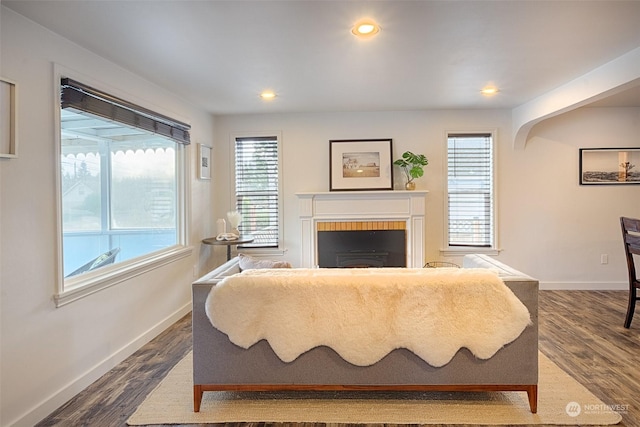 living room featuring a fireplace and dark hardwood / wood-style flooring