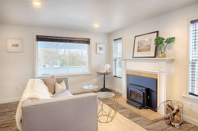 living area with hardwood / wood-style floors and a wood stove