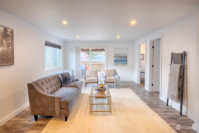 living room featuring dark wood-type flooring