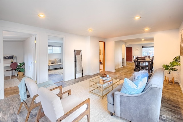 living room with hardwood / wood-style flooring