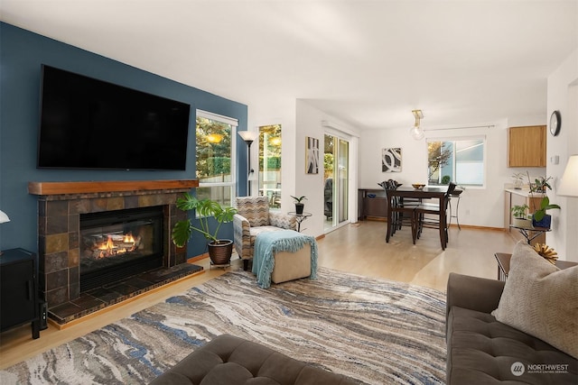 living room featuring a fireplace and light wood-type flooring