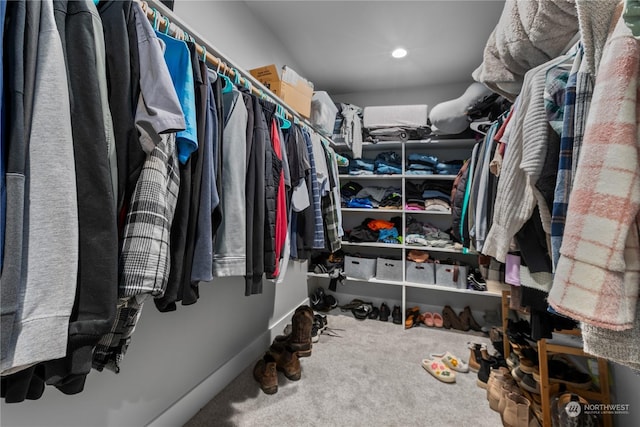 walk in closet with carpet flooring